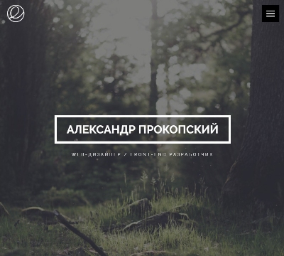 Александр Прокопский